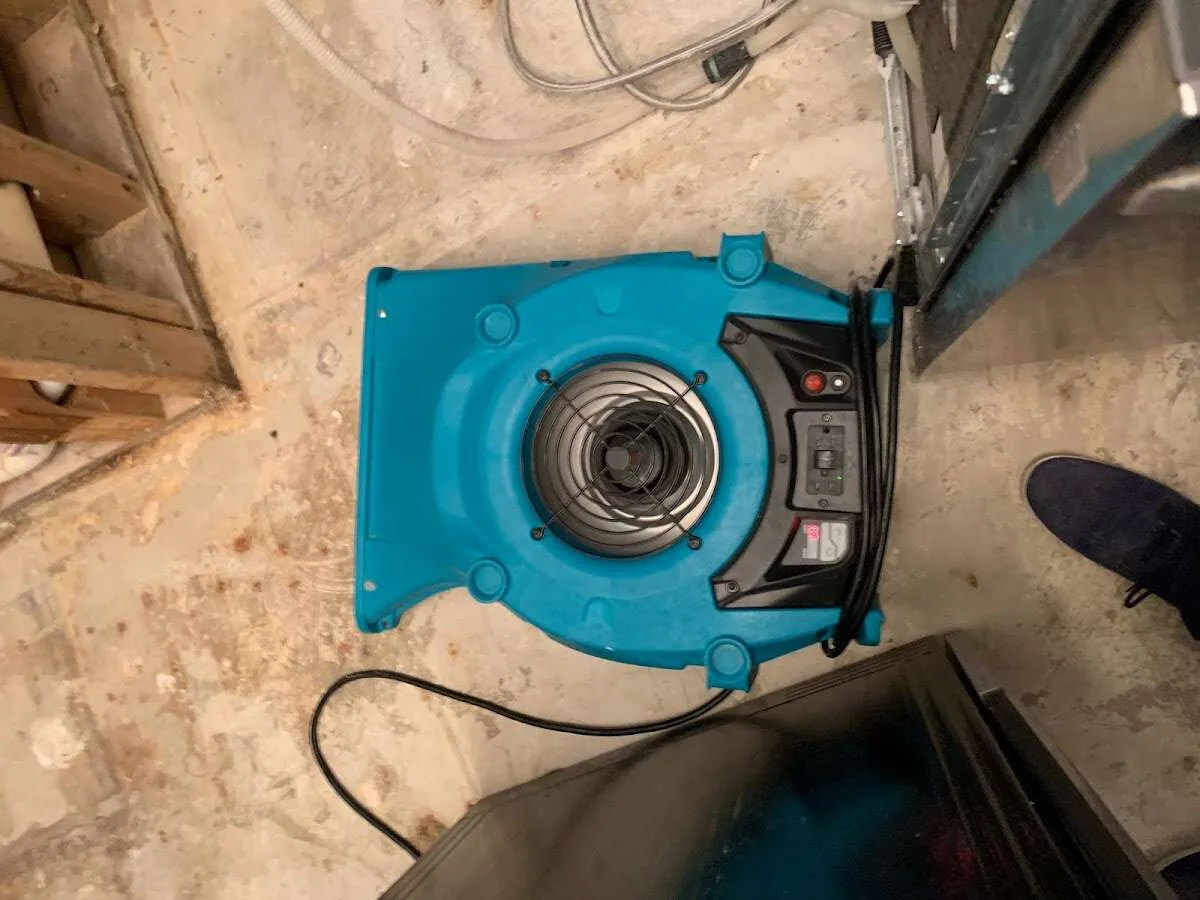Air mover drying equipment for Mold Remediation & Removal in Ville Platte